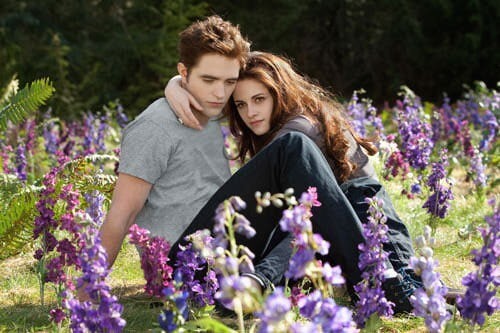Rob Pattinson and Kristen Stewart in Breaking Dawn Part 2