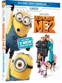 Despicable Me 2 DVD