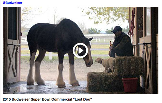 Budweiser Lost Dog Commercial Super Bowl 2015