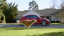BOLT THE DOG CHASING THE ALL-NEW VW BEETLE IN THE 2012 GAME DAY AD. 