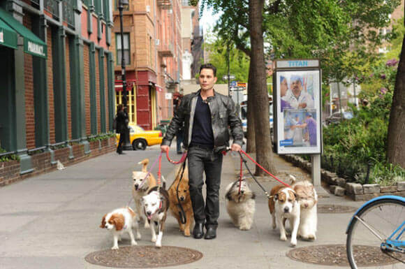 Justin Silver stars in 'Dogs in the City'