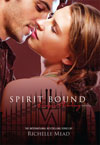 Vampire Academy Book 5 Spirit Bound