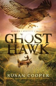 Ghost Hawk Book Cover