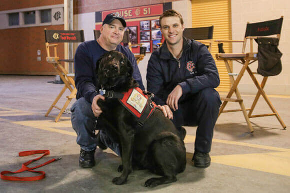 Chicago Fire Top Dog