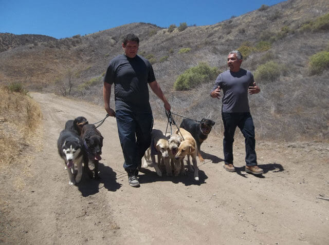 Cesar 911 Season 2 Details and Episode Guide