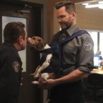 Joel McHale in Animal Control on Fox