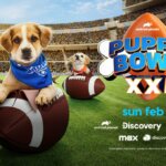 Puppy Bowl 2025